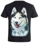 Preview: T-Shirt Malamut Alaskan Schlittenhund Shirt