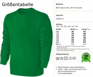 Kinder Pinguin Wendepailletten Sweatshirt - Streichel Pullover Pulli Hoodie - Grün